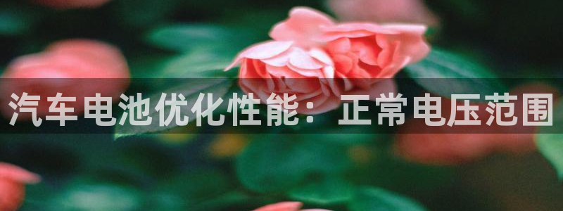 优发国际首页app