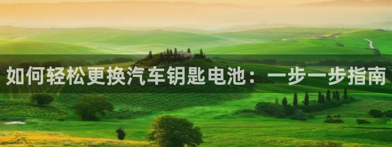 优发国际集团股份有限公司是国企吗
