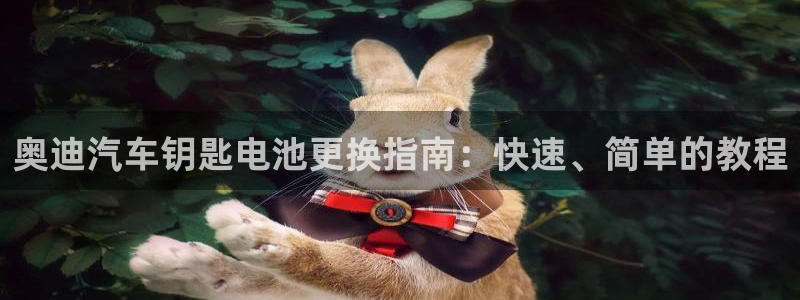优发国际手机客户端app