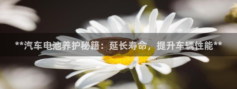 优发国际合并到哪里了最新消息