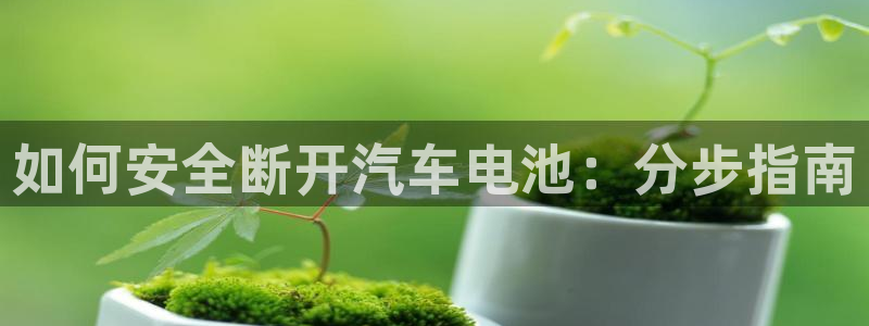 优发国际官方网手机版下载