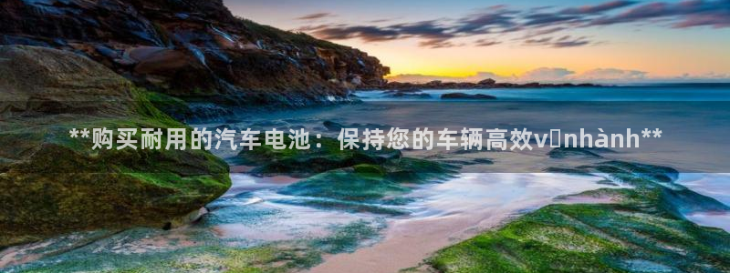 优发国际平台APP