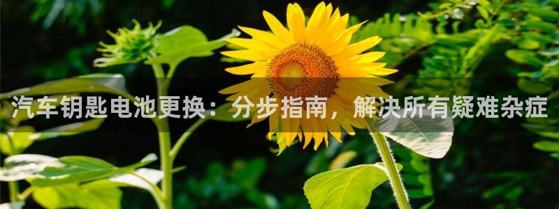 优发国际网官网17w8