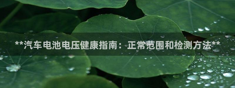 优发国际平台u8