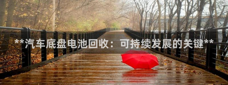 优发国际不出款了吗