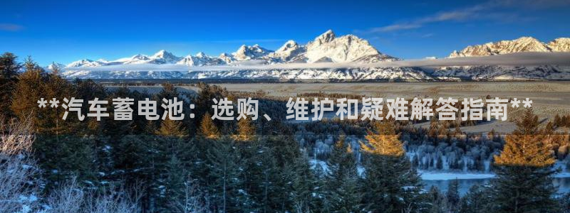 优发国际官网网站
