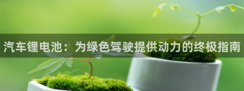 优发国际是什么