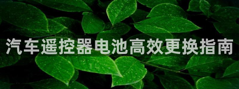 优发国际平台app下载苹果版