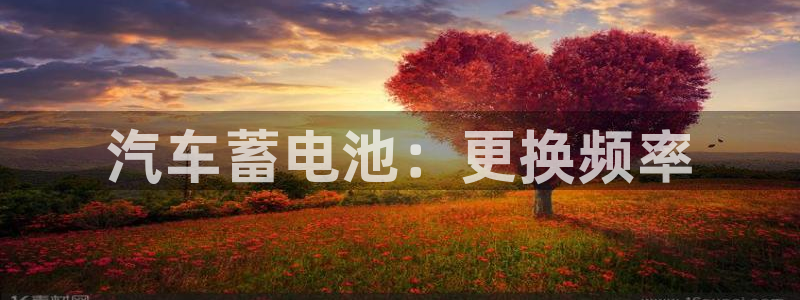 优发国际官网是多少号码