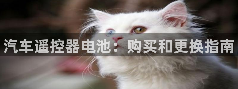 优发国际app