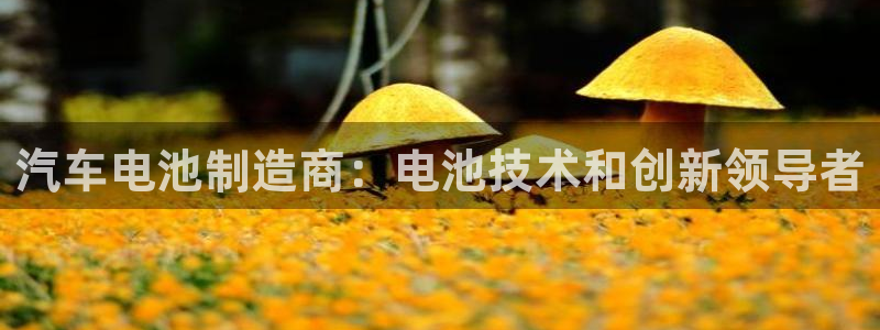 优发国际平台app下载安装