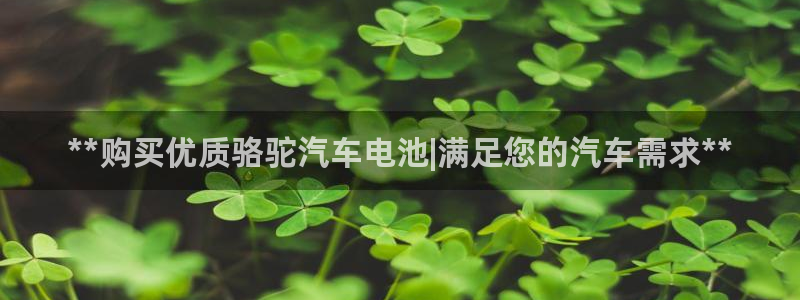 优发国际游戏n