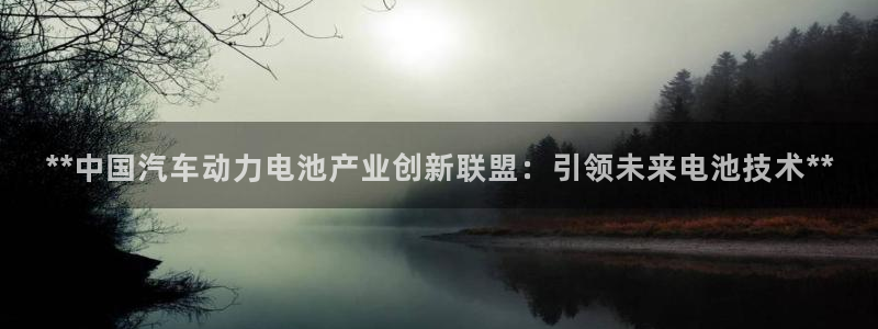 优发国际多少钱