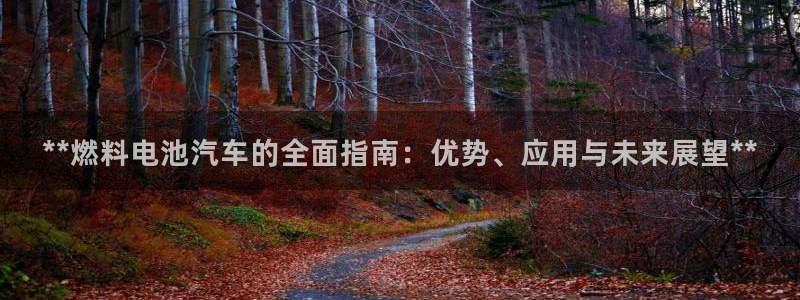 优发国际网站多少