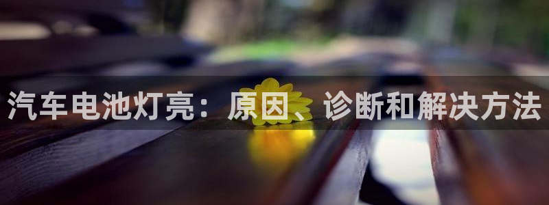 优发国际手机安装登录
