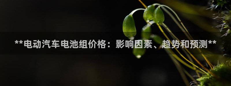 优发国际免费游戏下载