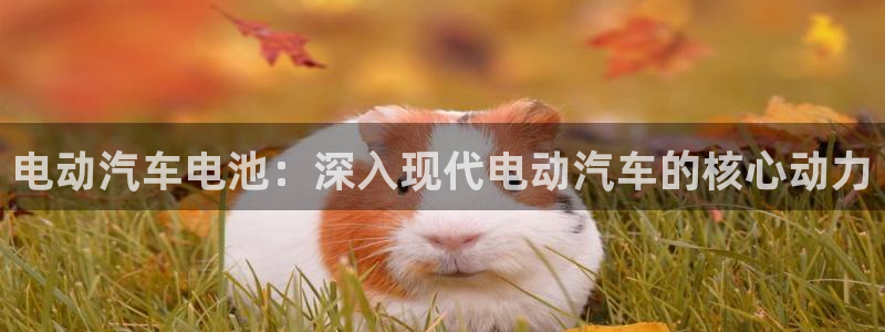 优发国际合并到哪里了