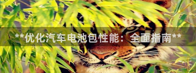 优发娱乐国际线上营业时间
