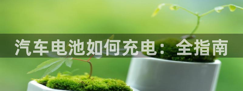 优发国际官网是多少号码