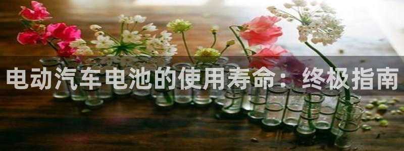 优发国际安卓版下载安装苹果