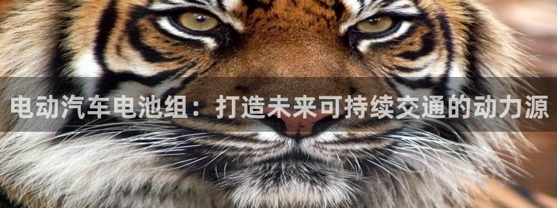 优发国际网官网17k8