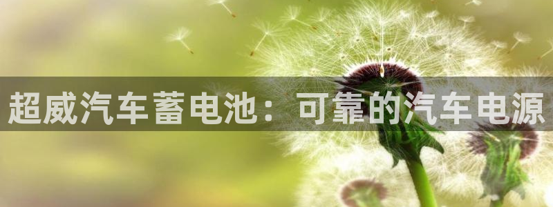 优发国际平台g80