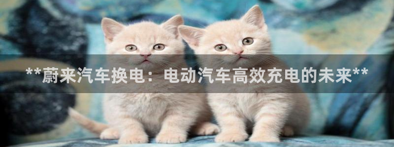 优发国际youfa966