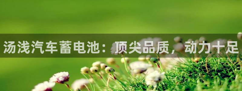 优发国际手机版网站下载