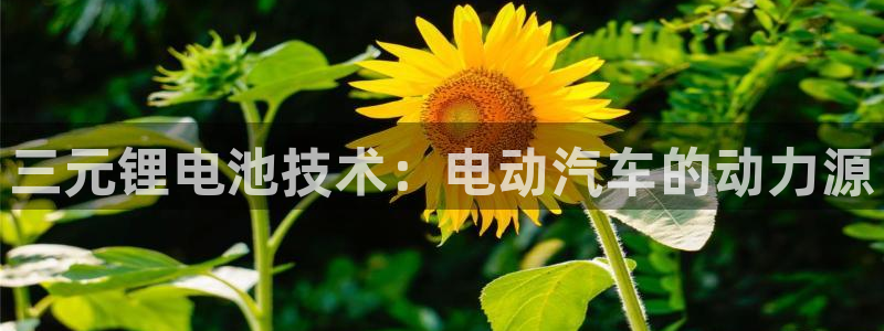 优发国际手机客户端app