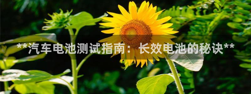 优发国际手机客户端app
