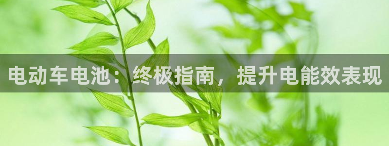 优发国际这个平台怎么样啊