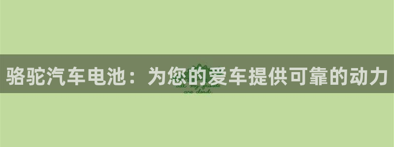 优发国际平台g8