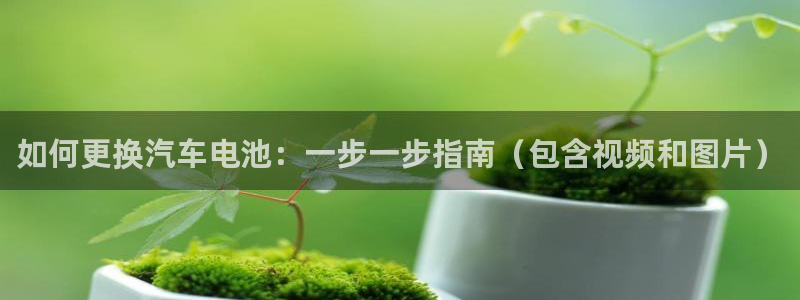 优发国际手机app下载安装