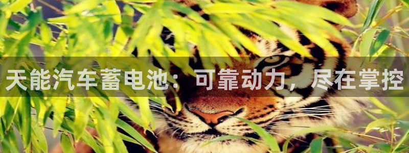 优发国际网官网17k8
