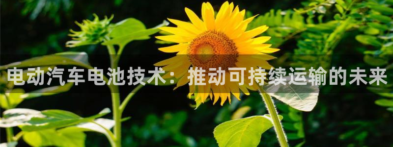 优发国际手机app下载地址
