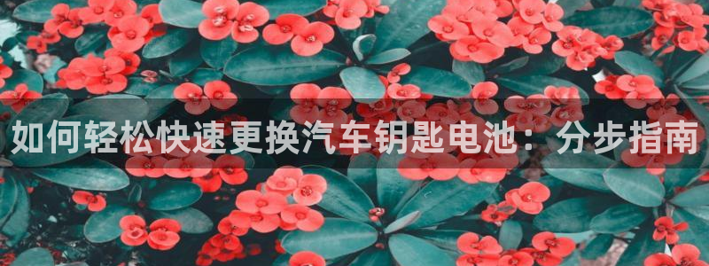 优发国际官网手机版
