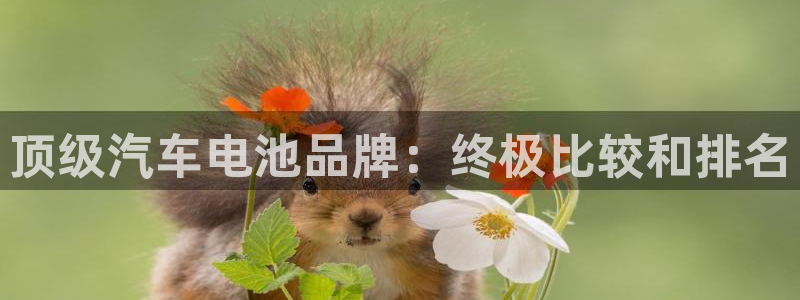 优发国际手机版官网入口