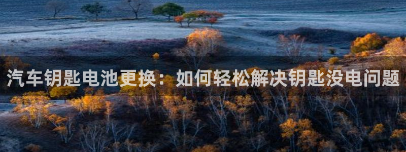 优发国际手机版下载