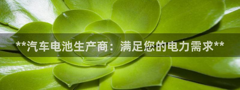 优发国际官网,首页