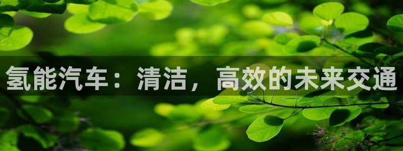 优发国际平台u8是什么公司