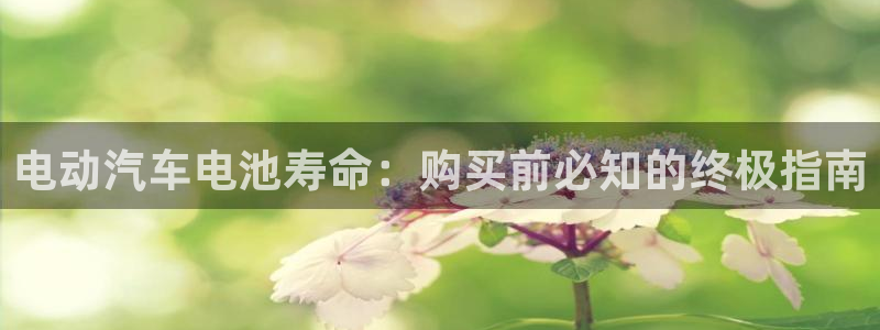 优发国际这个平台怎么样啊