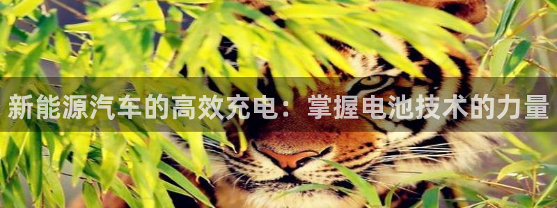 优发国际官网,首页