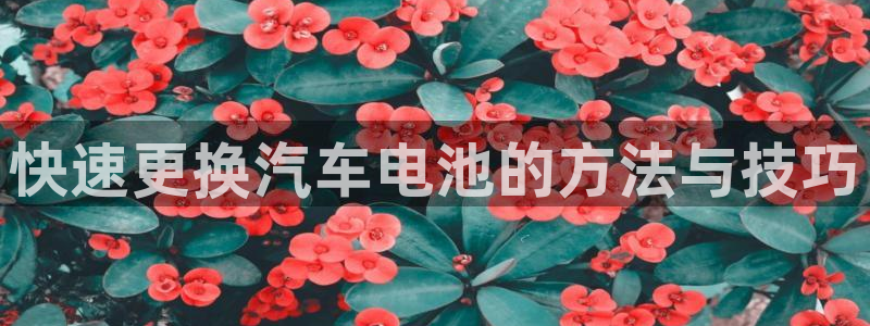 优发国际bob