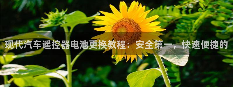 优发国际官网网站入口