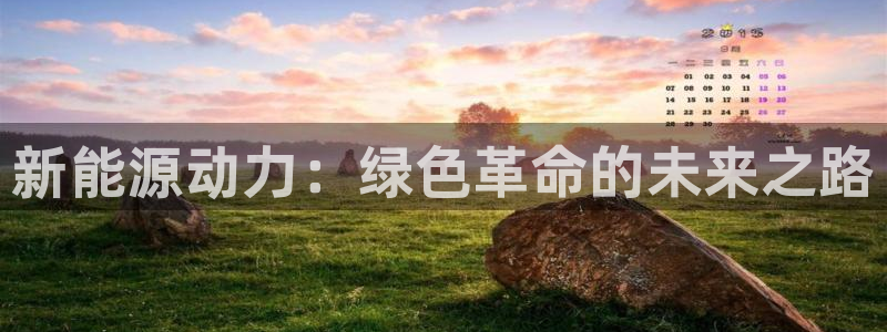 优发国际是大平台吗