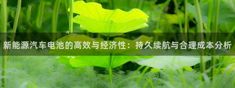 优发国际平台u8是什么公司