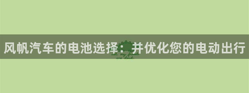 优发国际平台手机版下载：风帆汽车的电池选