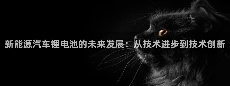 优发国际手机版下载：新能源汽车锂电池的未来发展：从技术进步到技术创新