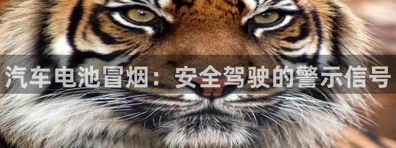 优发国际的官网是正品吗