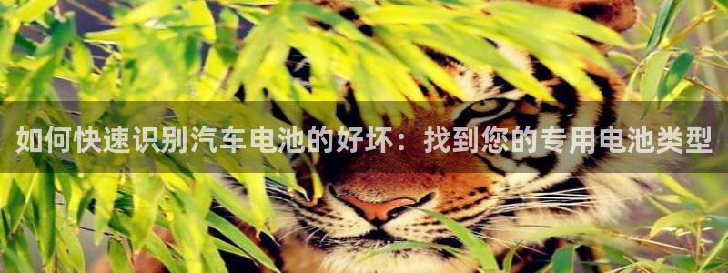 优发国际的网站是：如何快速识别汽车电池的好坏：找到您的专用电池类型